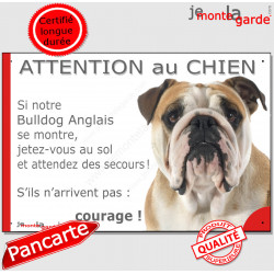 Bulldog Anglais blanc et fauve, plaque portail humour "Attention au Chien, Jetez Vous au Sol, attendez secours, courage" photo