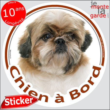 Shih-tzu fauve, sticker voiture rond "Chien à Bord" 2 tailles D