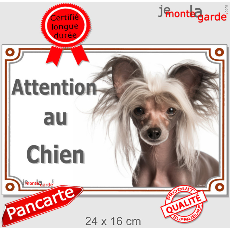 Chien Nu Chinois à Crête Tête, plaque portail "Attention au Chien" panneau pancarte photo affiche Chien Nu Chinois à Crête Tête, plaque portail "Attention au Chien" panneau pancarte photo affiche