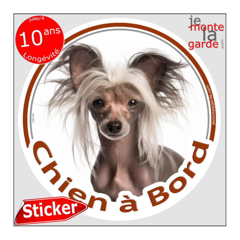 Chien Nu Chinois à crête Tête, , sticker autocollant rond "Chien à Bord" Disque photo adhésif vitre voiture Chien Nu Chinois à crête Tête, , sticker autocollant rond "Chien à Bord" Disque photo adhésif vitre voiture