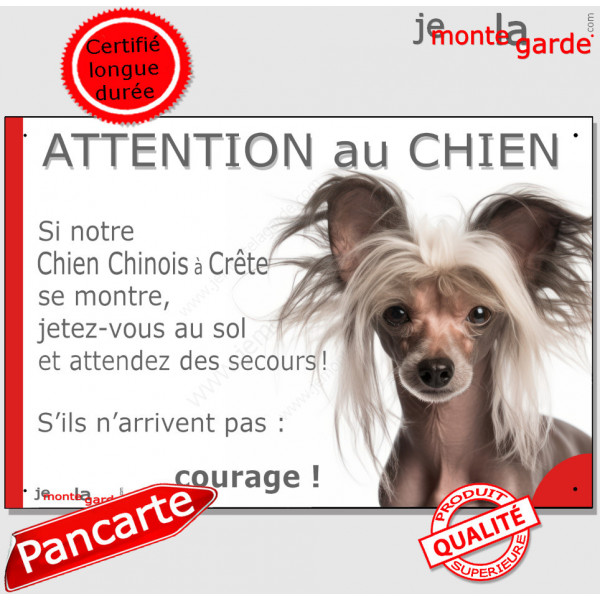 Chien Nu Chinois Crête, plaque portail humour "Attention au Chien, Jetez Vous au Sol, attendez secours, courage" photo pancarte