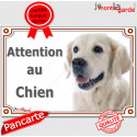 Golden Retriever, plaque portail "Attention au Chien" 24 cm LUXE