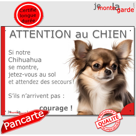 Chihuahua marron chocolat et feu poils longs, plaque portail humour "Attention au Chien, Jetez Vous au Sol, attendez secours", r