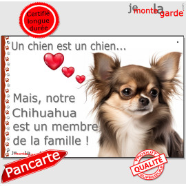 Chihuahua Chocolat Marron & Tan poils longs, plaque "Un chien est Membre de la Famille" photo panneau idée cadeau cadre pancarte