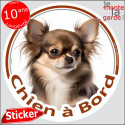 Chihuahua marron poils longs, sticker voiture rond "Chien à Bord" 14 cm