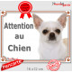 Chihuahua blanc à poils courts Tête, plaque portail extérieure "Attention au Chien" pancarte panneau beige photo