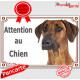 Rhodesian Ridgeback, plaque portail photo "Attention au Chien" pancarte panneau