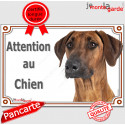 Rhodesian Ridgeback, plaque portail "Attention au Chien" 24 cm LUX