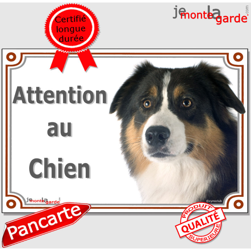 Berger Australien tricolore noir, plaque portail "Attention au Chien" photo aussie, résiste pluie soleil gel, idée cadeau