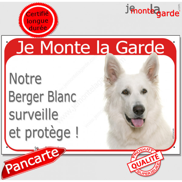 Berger Blanc Suisse tête, plaque portail rouge "Je Monte la Garde, surveille protège" pancarte panneau attention au chien photo