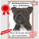staffie bringé, pancarte Portail verticale "Attention au Chien, pas sans autorisation" photo staffy staffordshire Bull Terrier