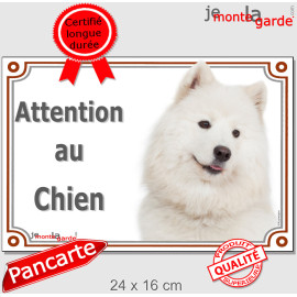 Samoyède, plaque portail photo "Attention au Chien" résiste pluie soleil gel, idée cadeau,  3 Tailles D