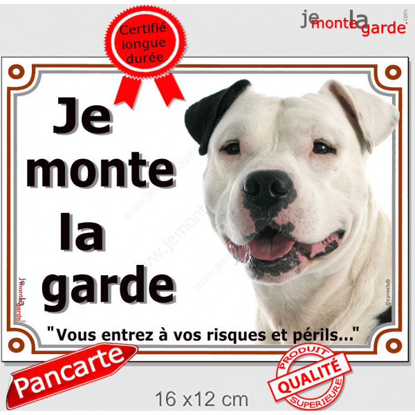 Amstaff blanc et noir, plaque portail "Je Monte la Garde, risques et périls" panneau pancarte photo