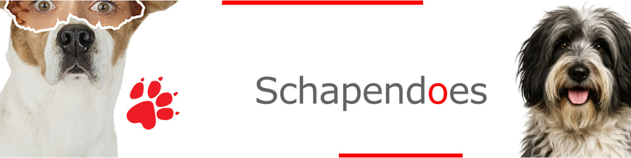 Schapendoes – Plaques, stickers et porte-clés
