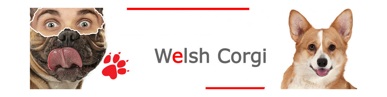 Welsh Corgi – Plaques, stickers et porte-clés
