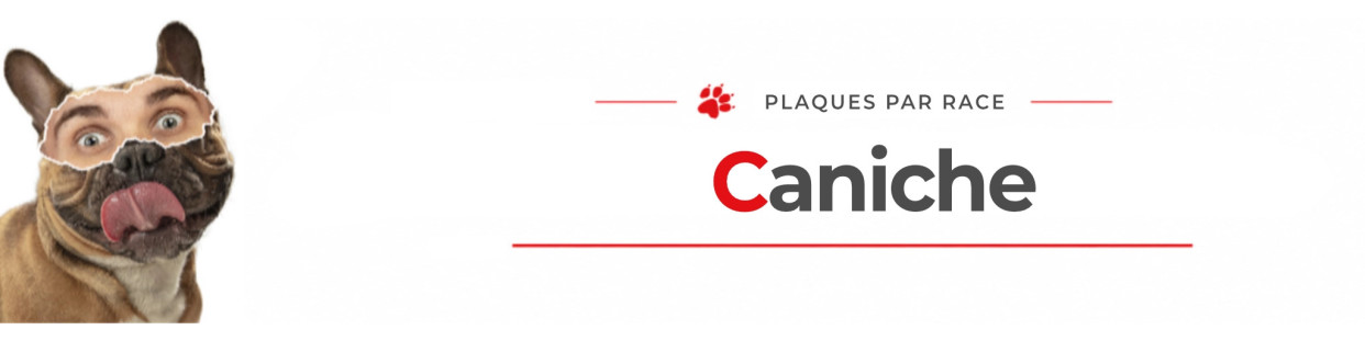 Caniche – Plaques, stickers et porte-clés