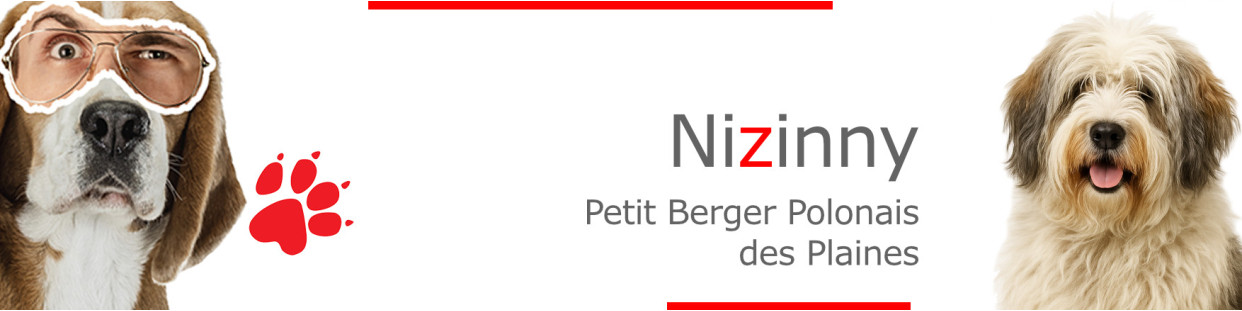 Nizinny – Plaques, stickers et porte-clés