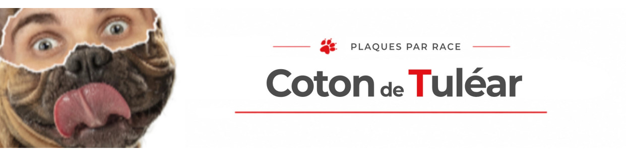 Coton de Tuléar – Plaques, stickers et porte-clés