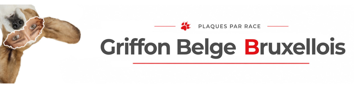 Griffon Belge Bruxellois – Plaques, stickers et porte-clés