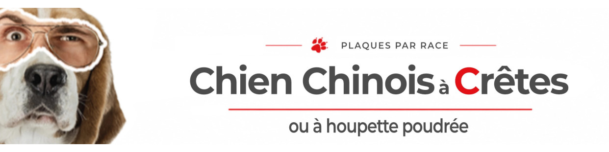 Chien Chinois à Crête – Plaques, stickers et porte-clés
