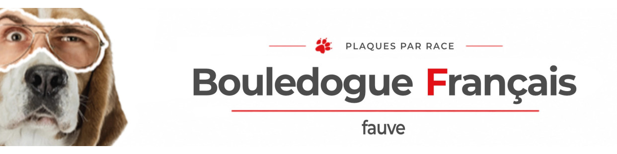 Bouledogue Français fauve – Plaques, stickers et porte-clés