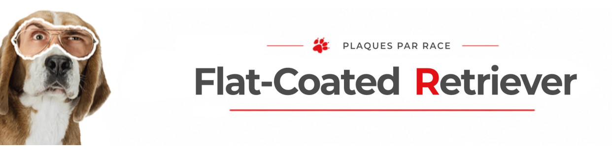 Flat Coated Retriever – Plaques, stickers et porte-clés