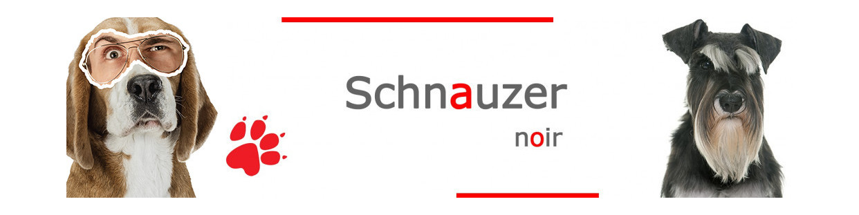 Schnauzer Noir – Plaques, stickers et porte-clés