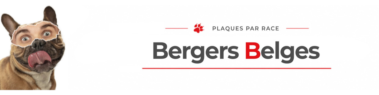 Berger Belge – Accès aux modèles par variété de race