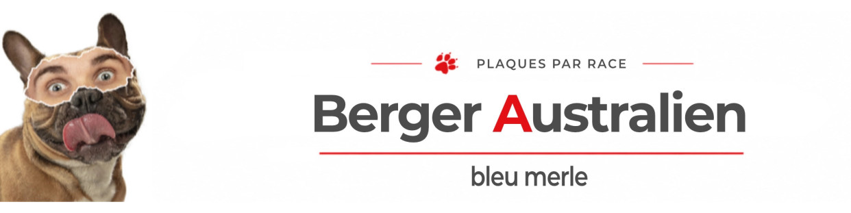 Berger Australien bleu merle – Plaques, stickers et porte-clés