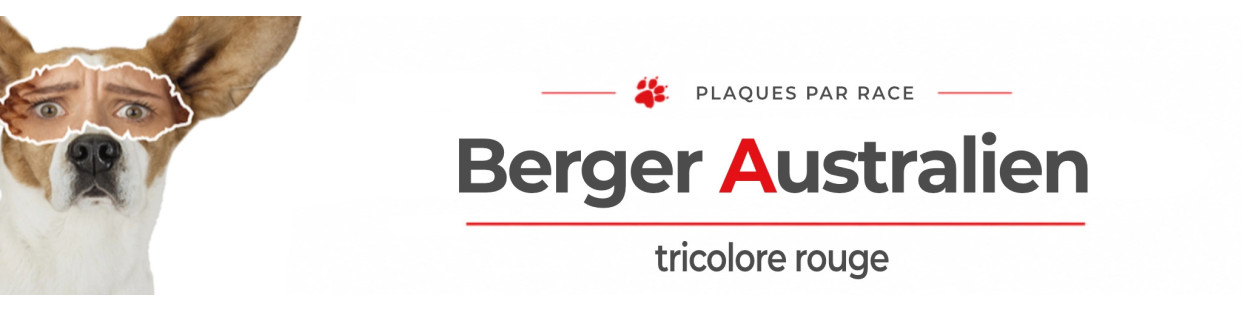 Berger Australien tricolore rouge – Plaques, stickers et porte-clés