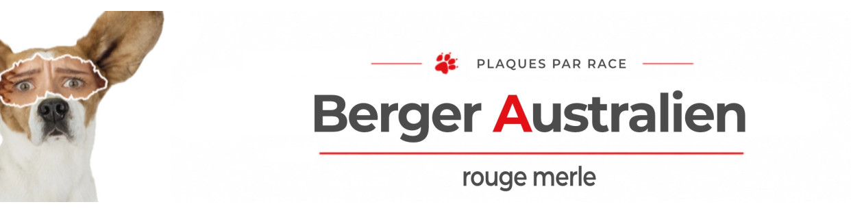 Berger Australien rouge merle – Plaques, stickers et porte-clés