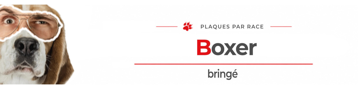 Boxer bringé – Plaques, stickers et porte-clés