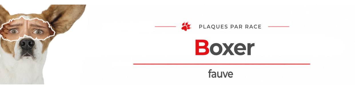 Boxer fauve – Plaques, stickers et porte-clés