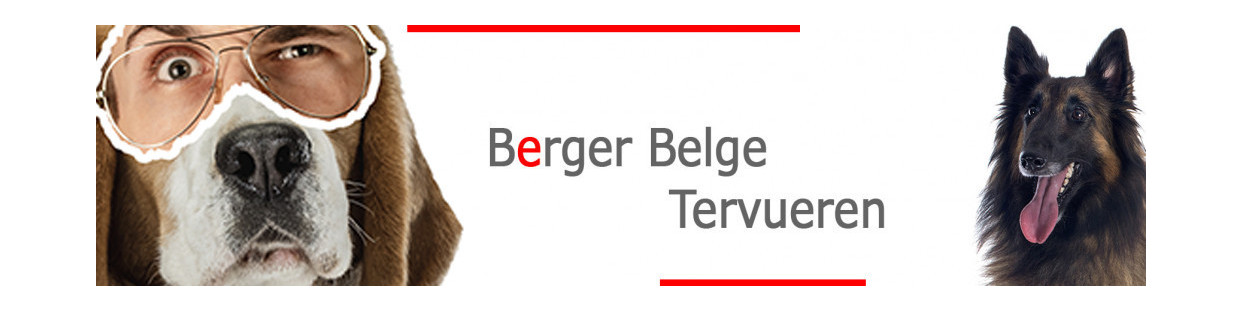 Tervueren