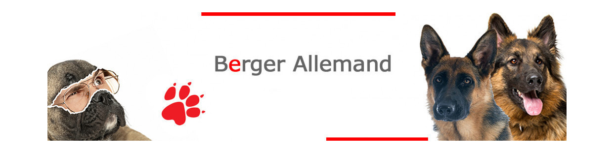 Berger Allemand