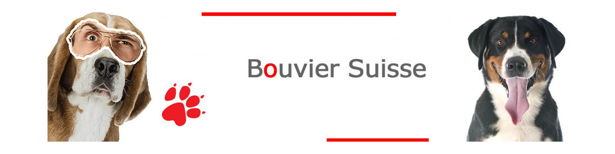Bouvier Suisse