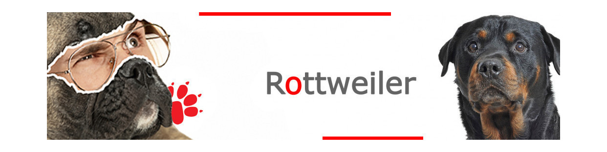 Rottweiller