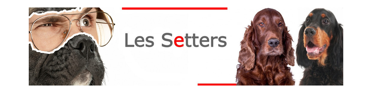 Setters