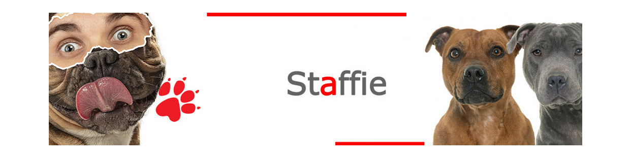 Staffie