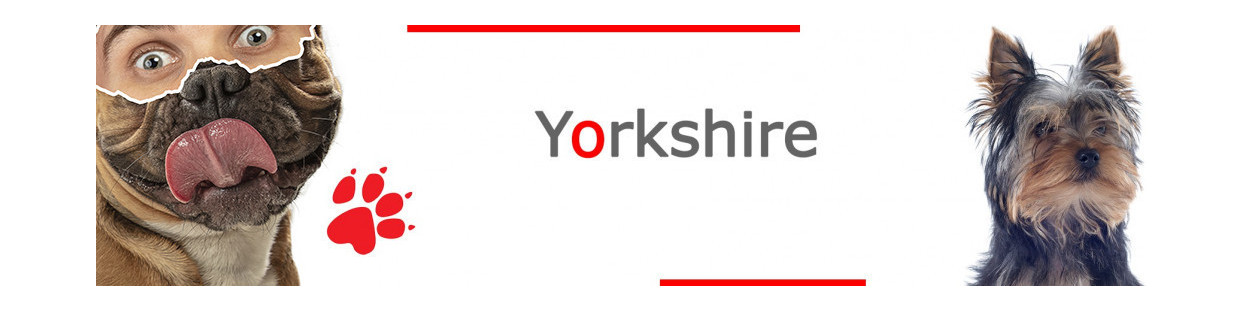 Yorkshire