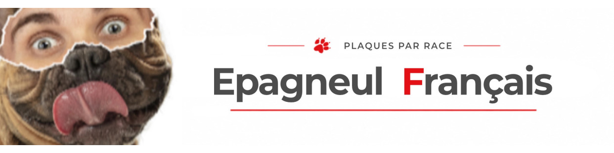 Épagneul Français – Plaques, stickers et porte-clés