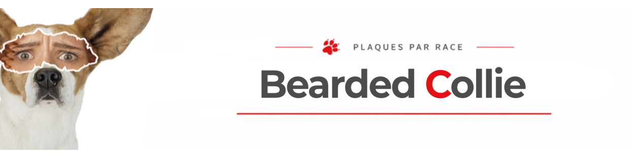 Bearded Collie – Signalétique Chien, Plaques et Stickers
