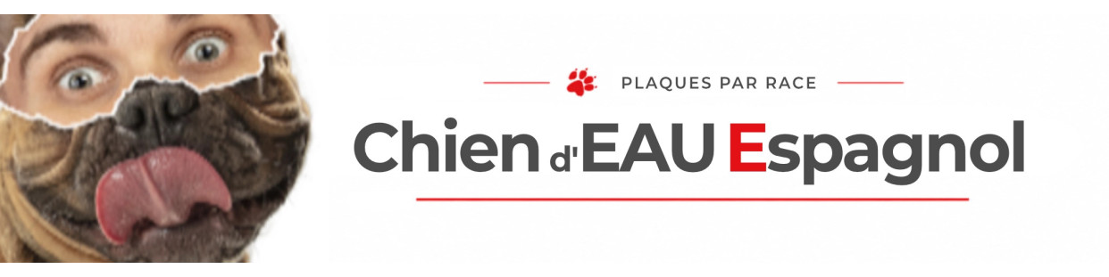 Chien d’Eau Espagnol – Plaques, stickers et porte-clés