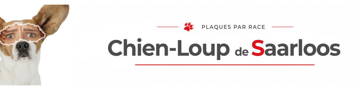 Chien Loup de Saarloos – Plaques, stickers et porte-clés