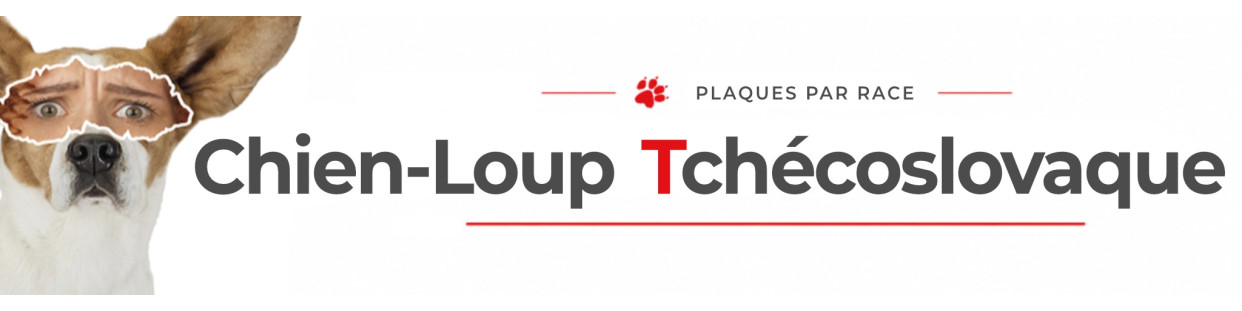 Chien Loup Tchécoslovaque – Plaques, stickers et porte-clés