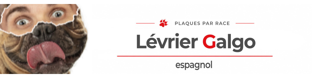 Lévrier Galgo – Plaques, stickers et porte-clés