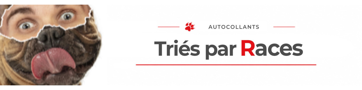 Stickers chiens par race | Autocollants toutes races