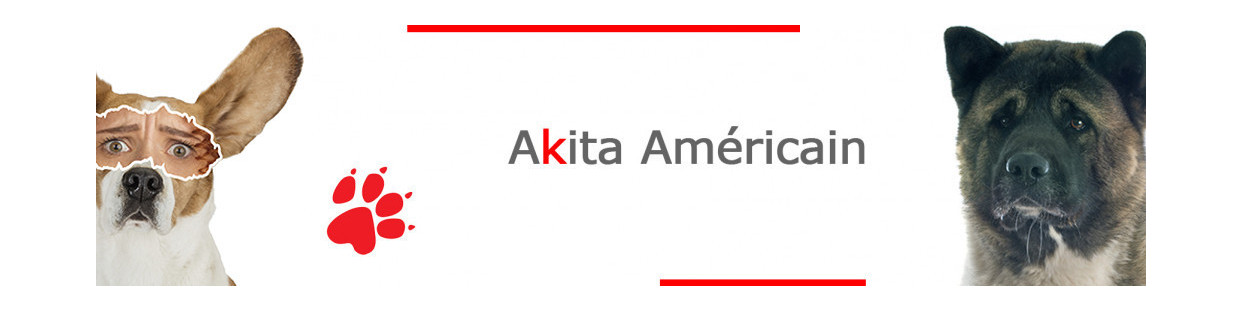 Akita USA