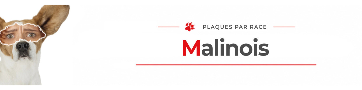 Berger Belge Malinois – Plaques, stickers et porte-clés