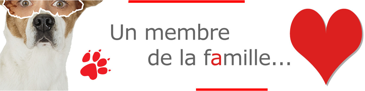 Membre de la famille